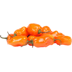 Chile Habanero