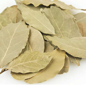 Hoja De Laurel