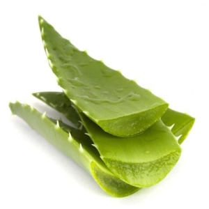 Sabila