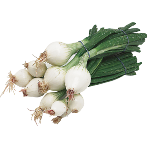 Cebollita Mexicana