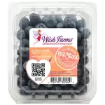 WISH FARMS BLACKBERRIES 6 OZ.