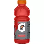 Gatorade Fruit Punch  12 Oz