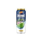 De Mi Pais Coconut Water 16.57oz