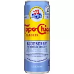 TOPOCHICO AGUA MINERAL BLUEBERRY CAN 12 OZ