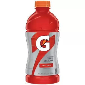 Gatorade Fruit Punch 28 Oz.